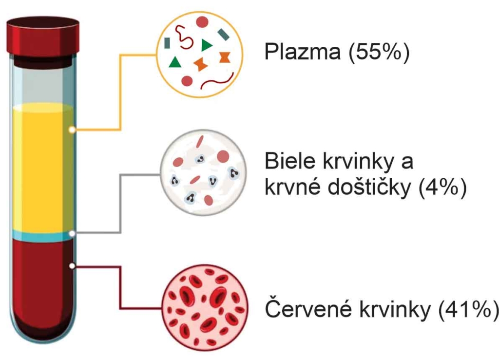 Zloženie krvi