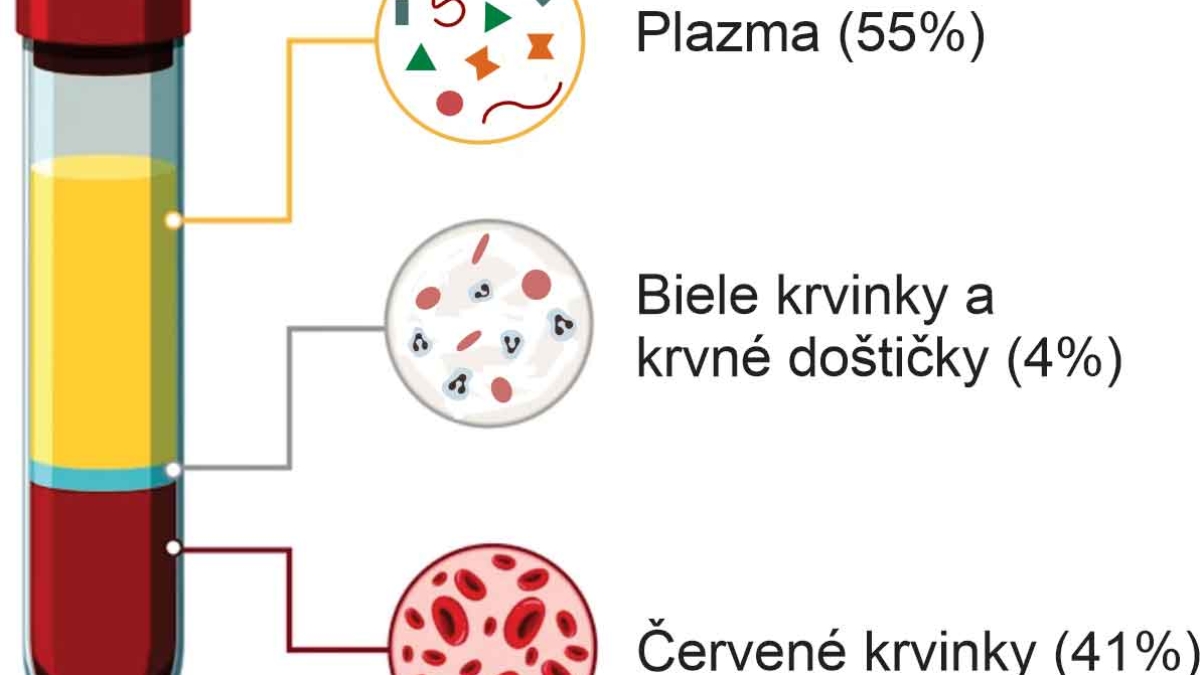 Zloženie krvi