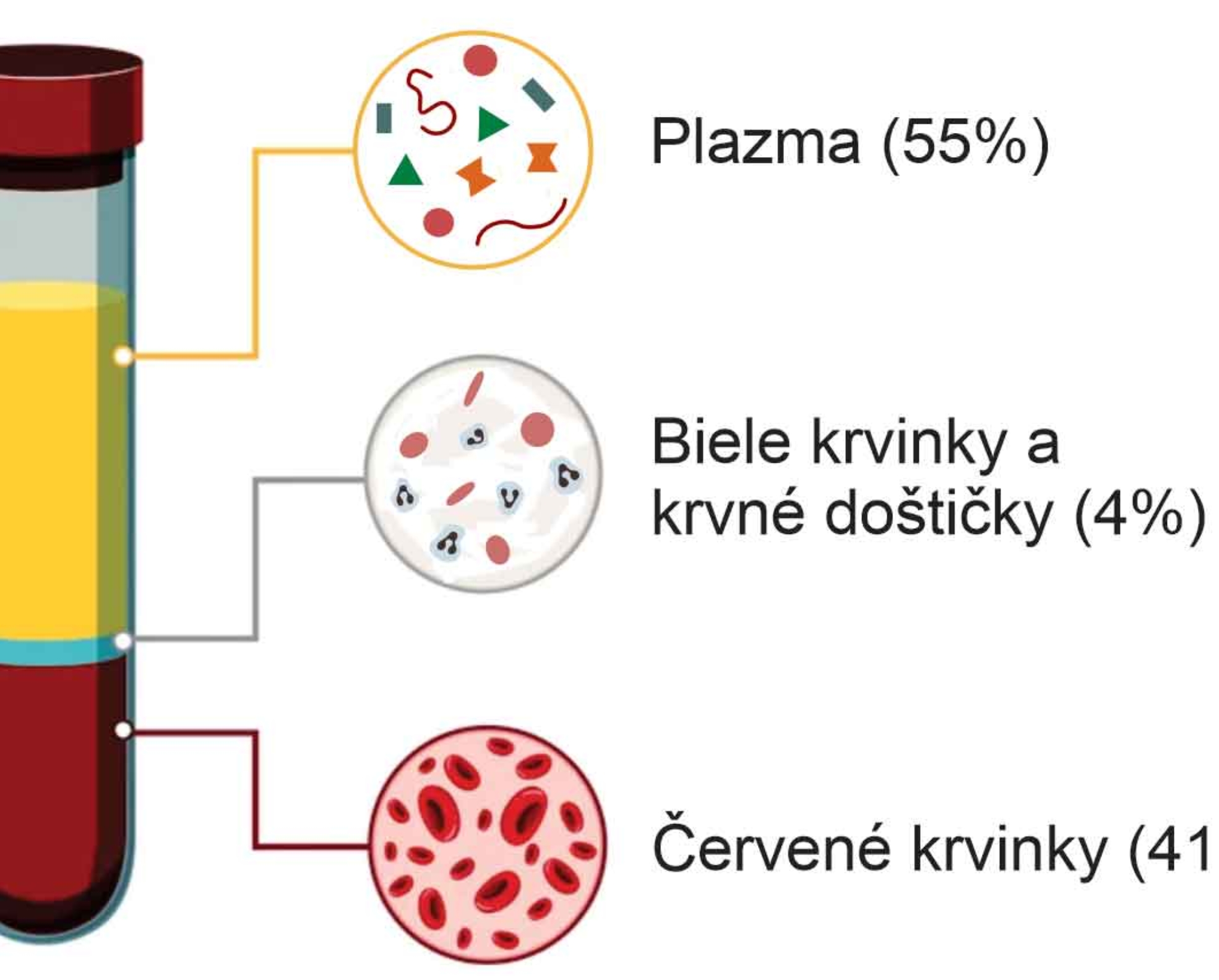 Zloženie krvi