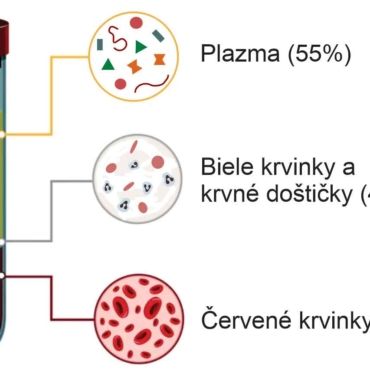 Zloženie krvi